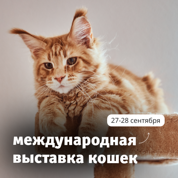 Международная выставка кошек 