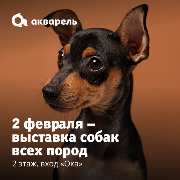ПРИГЛАШАЕМ ВАС НА НАЦИОНАЛЬНУЮ ВЫСТАВКУ СОБАК ВСЕХ ПОРОД