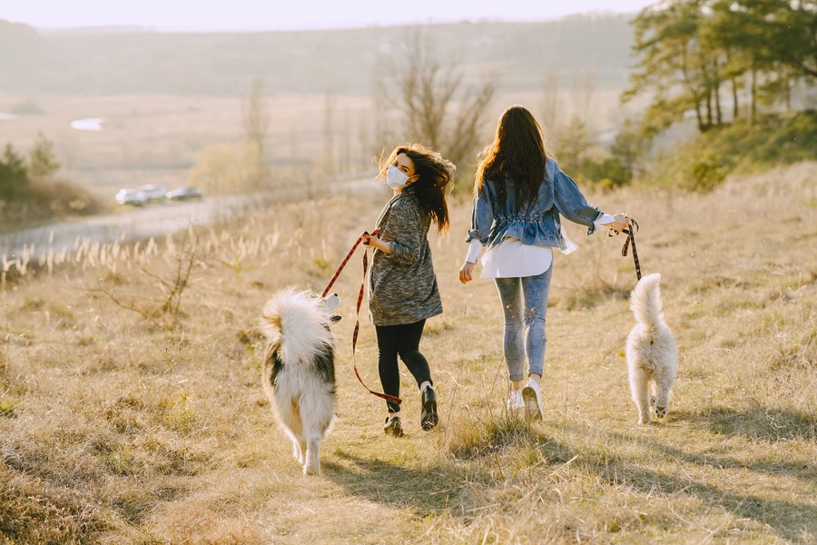 photo-of-women-walking-with-their-dogs-on-grass-field-4148877 (2).jpg