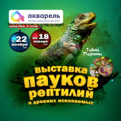 ВЫСТАВКА ПАУКОВ «ТАЙНА ПАУТИНЫ»