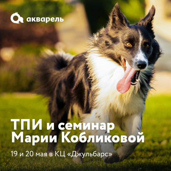 Семинары в КЦ «Джульбарс»