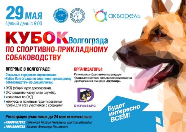 Открытые городские соревнования "Кубок Волгограда по спортивно-прикладному собаководству"