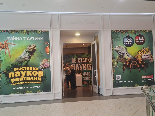 ВЫСТАВКА ПАУКОВ «ТАЙНА ПАУТИНЫ»