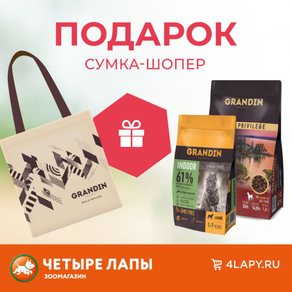 Gift for buying food GRANDIN