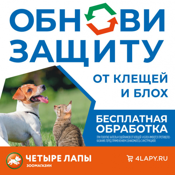 Protection for your pet from ticks