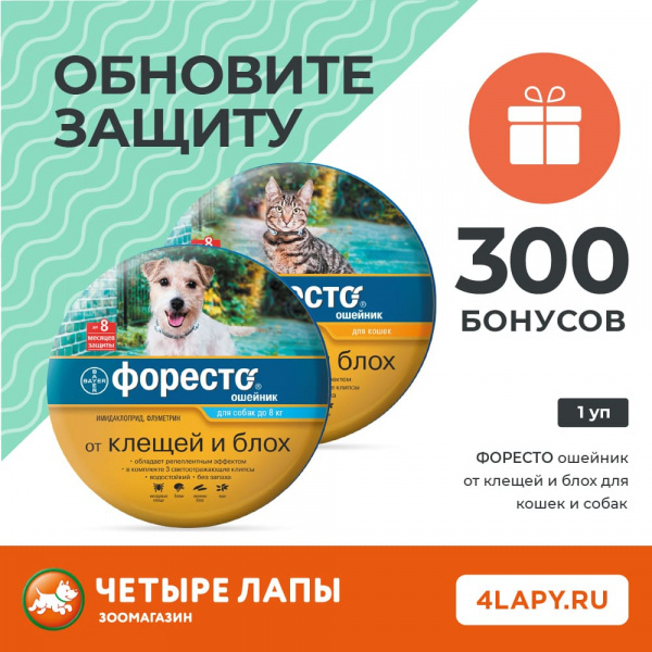 300 points to bonus card